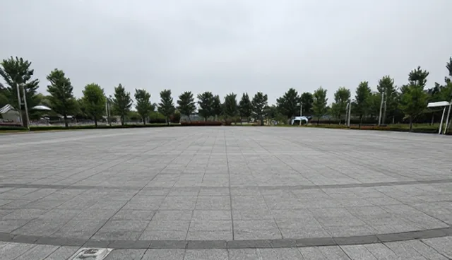 疾病预防中健康管理服务的检查要点分析