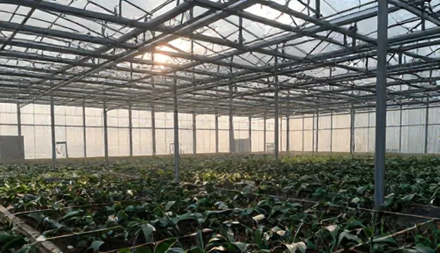 健康管理服务在医疗技术应用中的实际问题及解决方向